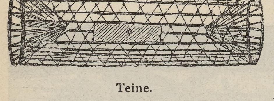Teine.